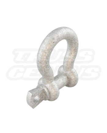 Shackle 1/2 Inch